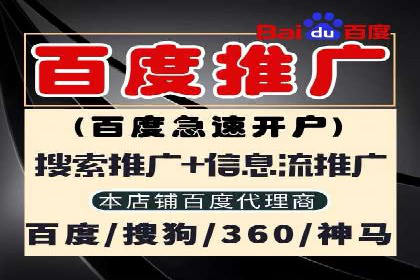 SEM广告投放的竞价策略与效果评估案例